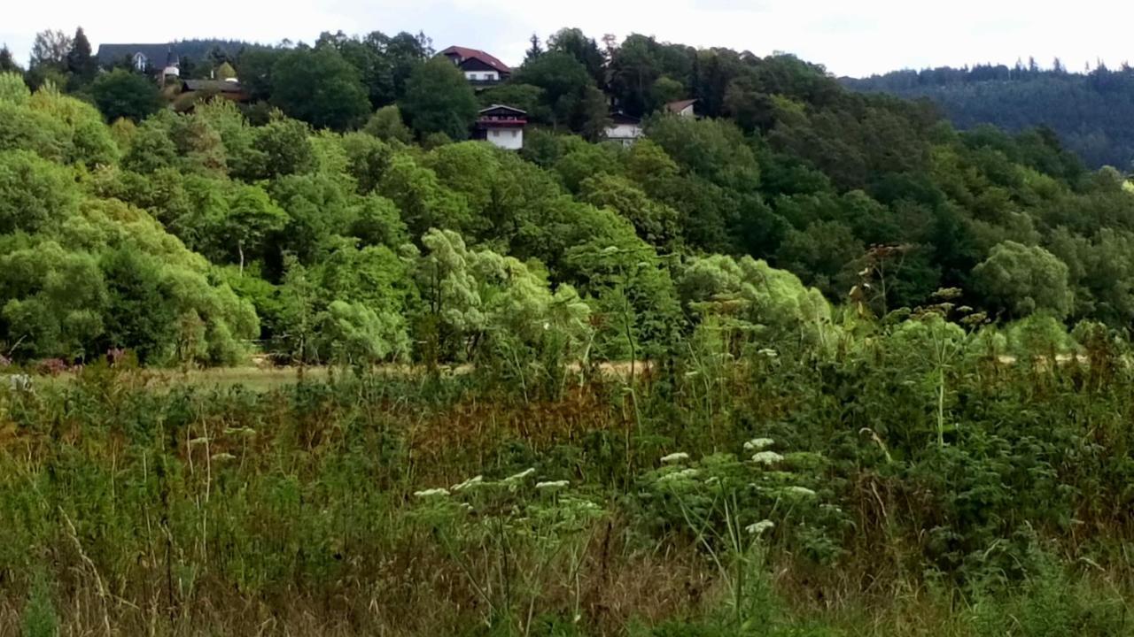 Ferienhaus Im Ederbergland Βίλα Hatzfeld Εξωτερικό φωτογραφία